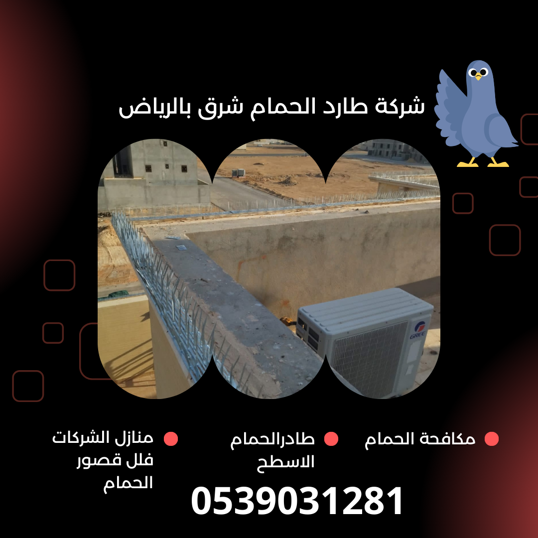 شركة طارد الحمام شرق الرياض